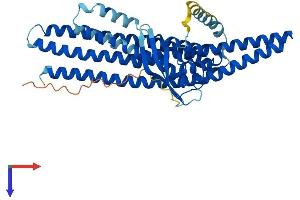 SNX6 Protein (AA 1-406) (His tag)