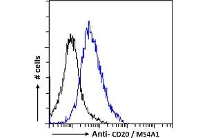 ABIN570905 Flow cytometric analysis of paraformaldehyde fixed Daudi cells (blue line), permeabilized with 0. (CD20 Antikörper  (C-Term))
