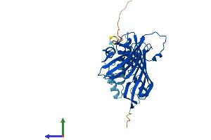 Protein Structure (PS) image for Acyl-CoA Thioesterase 8 (ACOT8) (AA 1-320) protein (His tag) (ABIN7556509)
