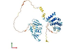 Protein Structure (PS) image for Eukaryotic Translation Initiation Factor 5 (EIF5) (AA 1-429) protein (His tag) (ABIN7556546)