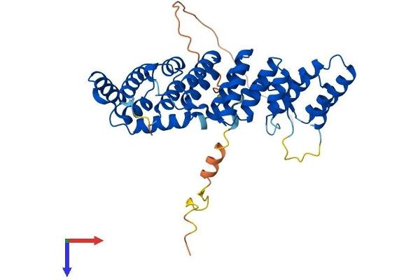 PTCD2 Protein (AA 1-381) (His tag)