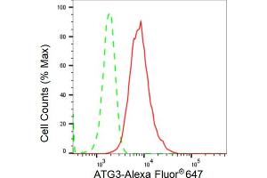 Flow cytometric analysis of ATG3 expression in HepG2 cells using ATG3 antibody (ABIN7797671), 1:2,000). (Rekombinanter ATG3 Antikörper)