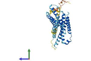 Protein Structure (PS) image for G Protein-Coupled Receptor MRGX2 (MRGPRX2) (AA 1-330) protein (His tag) (ABIN7554613)