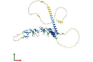 Protein Structure (PS) image for LIM Homeobox Transcription Factor 1, beta (LMX1B) (AA 1-395) protein (His tag) (ABIN7562639)