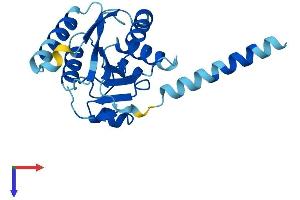 ALG14 Protein (AA 1-216) (His tag)