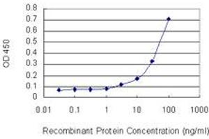 Detection limit for recombinant GST tagged PDE5A is 1 ng/ml as a capture antibody. (PDE5A Antikörper  (AA 29-138))