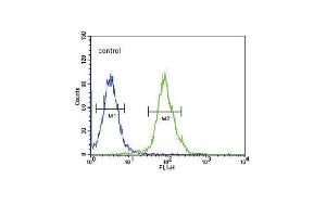 TPH2 Antibody (Center) (ABIN653124 and ABIN2842704) flow cytometric analysis of 293 cells (right histogram) compared to a negative control cell (left histogram). (Tryptophan Hydroxylase 2 Antikörper  (AA 168-193))