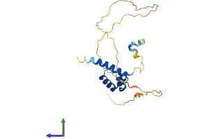 Protein Structure (PS) image for Homeobox C5 (HOXC5) (AA 1-222) protein (His tag) (ABIN7548417)