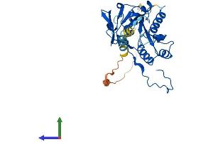Protein Structure (PS) image for beta-1,3-Glucuronyltransferase 2 (Glucuronosyltransferase S) (B3GAT2) (AA 1-324) protein (His tag) (ABIN7556544)