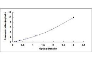 Typical standard curve