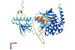 MAP2K5 Protein (AA 1-448) (His tag)