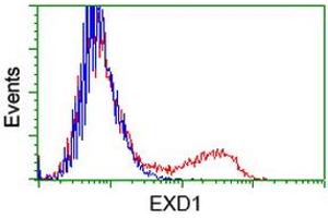 HEK293T cells transfected with either RC206223 overexpress plasmid (Red) or empty vector control plasmid (Blue) were immunostained by anti-EXD1 antibody (ABIN2453983), and then analyzed by flow cytometry. (EXD1 Antikörper)