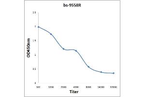ELISA image for anti-Linker For Activation of T Cells Family, Member 2 (LAT2) (AA 1-20) antibody (ABIN1385433)