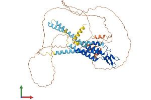 Protein Structure (PS) image for Gap Junction Protein, alpha 10, 62kDa (GJa10) (AA 1-543) protein (His tag) (ABIN7553565)
