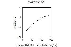 ELISA image for Bone Morphogenetic Protein Receptor, Type II (serine/threonine Kinase) (BMPR2) ELISA Kit (ABIN4881981) (BMPR2 ELISA Kit)