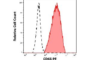 Separation of human neutrophil granulocytes (red-filled) from lymphocytes (black-dashed) in flow cytometry analysis (surface staining) of peripheral whole blood stained using anti-human CD65 (VIM8) PE antibody (10 μL reagent / 100 μL of peripheral whole blood). (CD65 Antikörper (PE))
