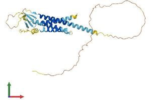 Protein Structure (PS) image for Calcium Channel, Voltage-Dependent, gamma Subunit 3 (CACNG3) (AA 1-315) protein (His tag) (ABIN7553102)