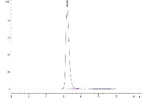 The purity of Human TFPI is greater than 95 % as determined by SEC-HPLC.