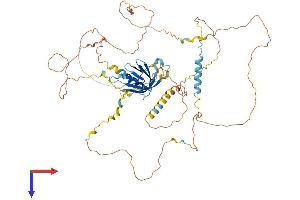 GAB3 Protein (AA 1-595) (His tag)