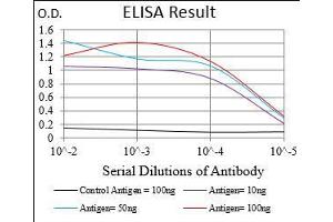 Black line: Control Antigen (100 ng), Purple line: Antigen(10 ng), Blue line: Antigen (50 ng), Red line: Antigen (100 ng), (PAPLN Antikörper  (AA 766-870))