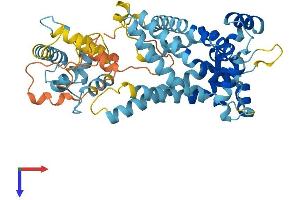 SLC25A25 Protein (AA 1-469) (His tag)