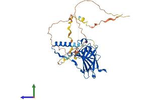 Protein Structure (PS) image for Tumor Protein P53 (TP53) (AA 1-393) protein (His tag) (ABIN7554824)