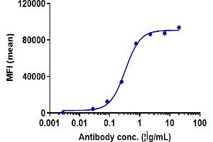 anti-FOLR1 (Farletuzumab Biosimilar) antibody