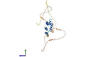Protein Structure (PS) image for Hairy/enhancer-of-Split Related with YRPW Motif 2 (HEY2) (AA 1-339) protein (His tag) (ABIN7565132)