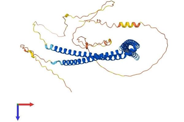 SH3BP5 Protein (AA 1-455) (His tag)