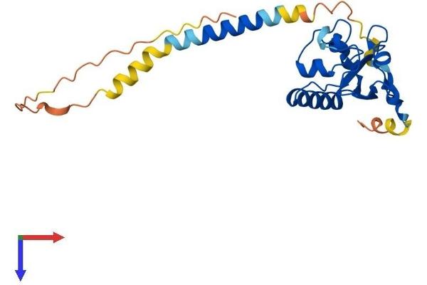 PGRMC2 Protein (AA 1-223) (His tag)