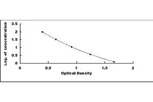 Typical standard curve