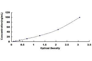 ELISA image for Cytochrome C, Somatic (CYCS) ELISA Kit (ABIN1569299) (Cytochrome C ELISA Kit)