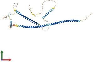 Protein Structure (PS) image for G Kinase Anchoring Protein 1 (GKAP1) (AA 1-366) protein (His tag) (ABIN7548011)