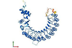 Protein Structure (PS) image for F-Box and Leucine-Rich Repeat Protein 14 (FBXL14) (AA 1-418) protein (His tag) (ABIN7547837)