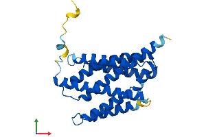 AlphaFold protein structure predicition of Mouse Recombinant Tmbim6 Protein, UniprotID Q9D2C7