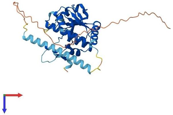 RG9MTD3 Protein (AA 1-316) (His tag)