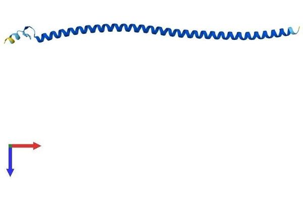 IFT20 Protein (AA 1-132) (His tag)