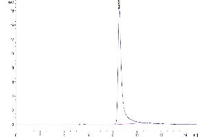 The purity of Biotinylated Mouse IL-17F is greater than 95 % as determined by SEC-HPLC.
