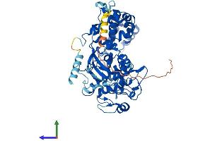 Protein Structure (PS) image for G Protein-Coupled Receptor Kinase 5 (GRK5) (AA 1-590) protein (His tag) (ABIN7554058)