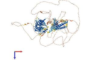 ULK1 Protein (AA 1-1050) (His tag)