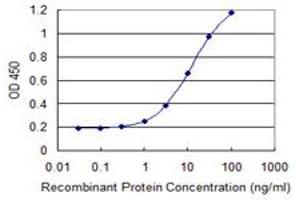 Detection limit for recombinant GST tagged CHST3 is 0. (CHST3 Antikörper  (AA 312-411))