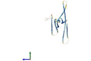Protein Structure (PS) image for Polyamine Modulated Factor 1 Binding Protein 1 (PMFBP1) (AA 1-1022) protein (His tag) (ABIN7565249)