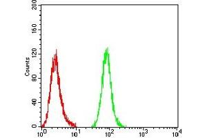 Flow cytometric analysis of THP-1 cells using CD196 mouse mAb (green) and negative control (red). (CCR6 Antikörper)