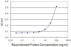 Detection limit for recombinant GST tagged MAF1 is 3 ng/ml as a capture antibody. (MAF1 Antikörper  (AA 1-256))