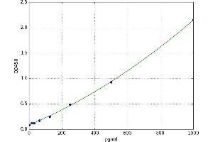 Growth Regulated Oncogene gamma (GRO gamma) ELISA Kit