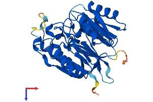 DDAH2 Protein (AA 1-285) (His tag)