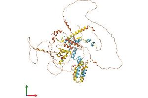 Protein Structure (PS) image for Hypermethylated in Cancer 1 (HIC1) (AA 1-733) protein (His tag) (ABIN7565196)