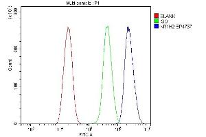 Flow Cytometry analysis of U20S cells using anti-LXR beta/NER/NR1H2 antibody (ABIN7601265).