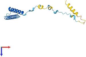 MMGT1 Protein (AA 1-131) (His tag)