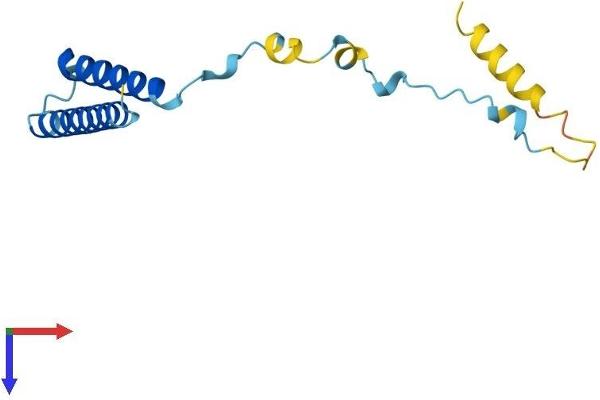 MMGT1 Protein (AA 1-131) (His tag)